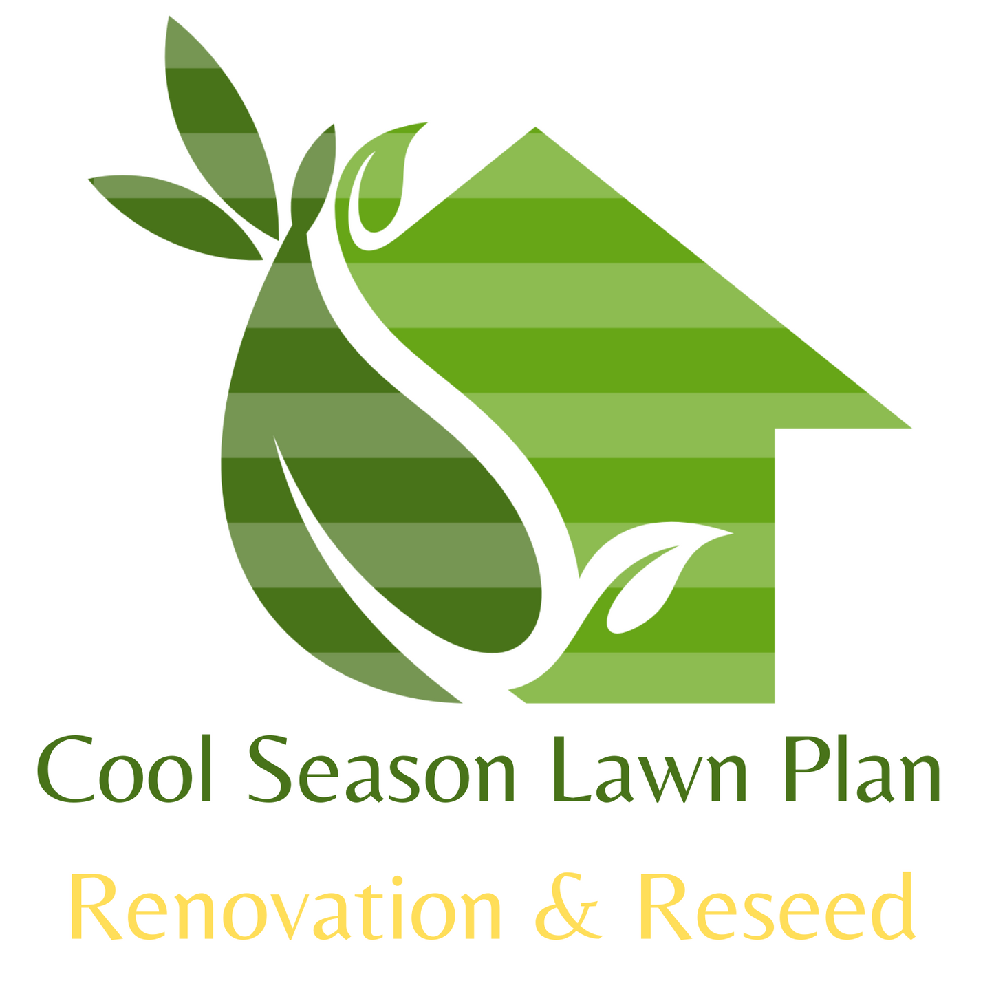 Cool Season - Renovation & Reseed